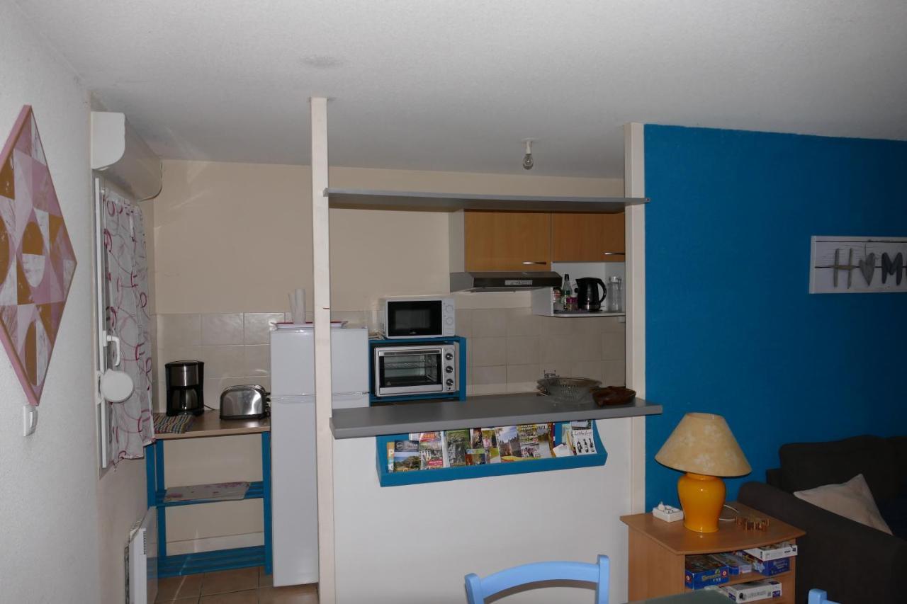 Carcassonne T3 Residentiel Rez De Jardin Piscine, Wifi, Tennis, Fitness Apartment Luaran gambar
